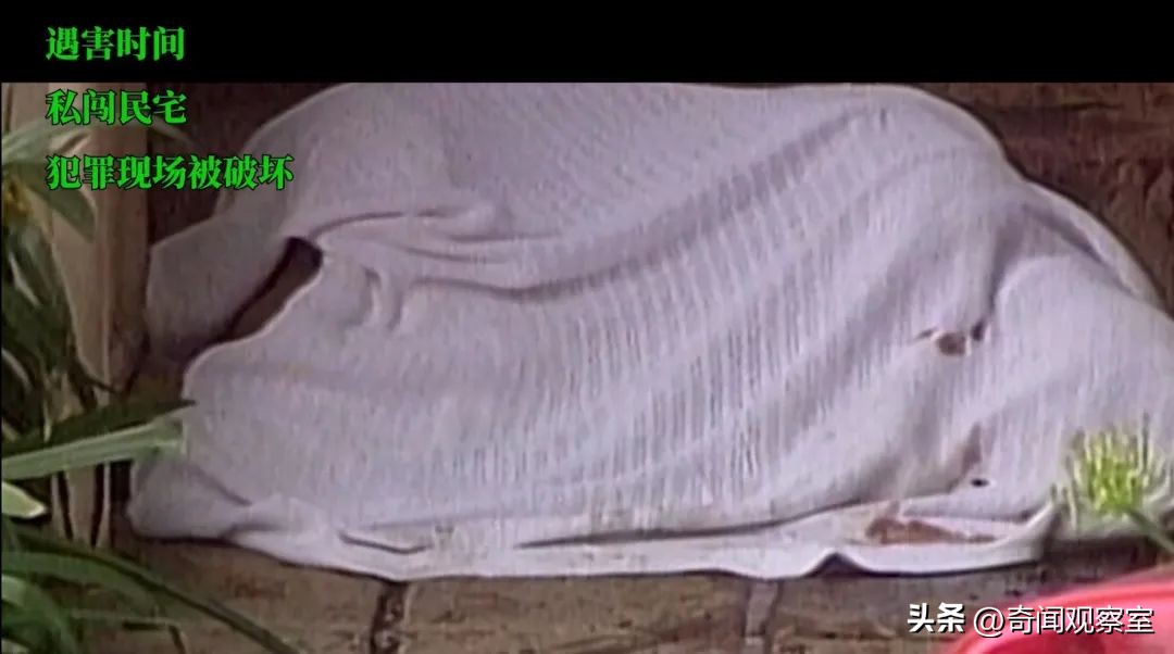 辛普森案真相解析,辛普森案真相解密