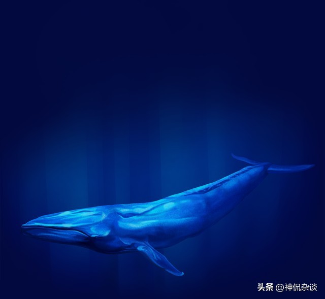 世界上鼻子最长的是什么动物,世界鼻子最长的人