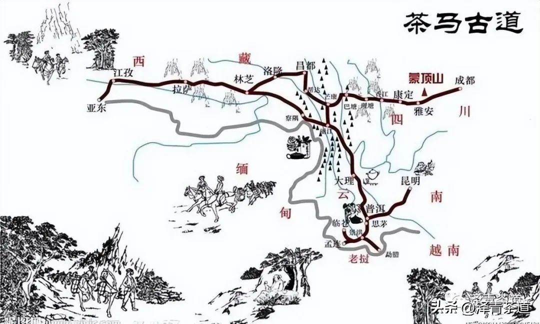 茶马古道茶叶铁盒价格,茶叶溯源之旅