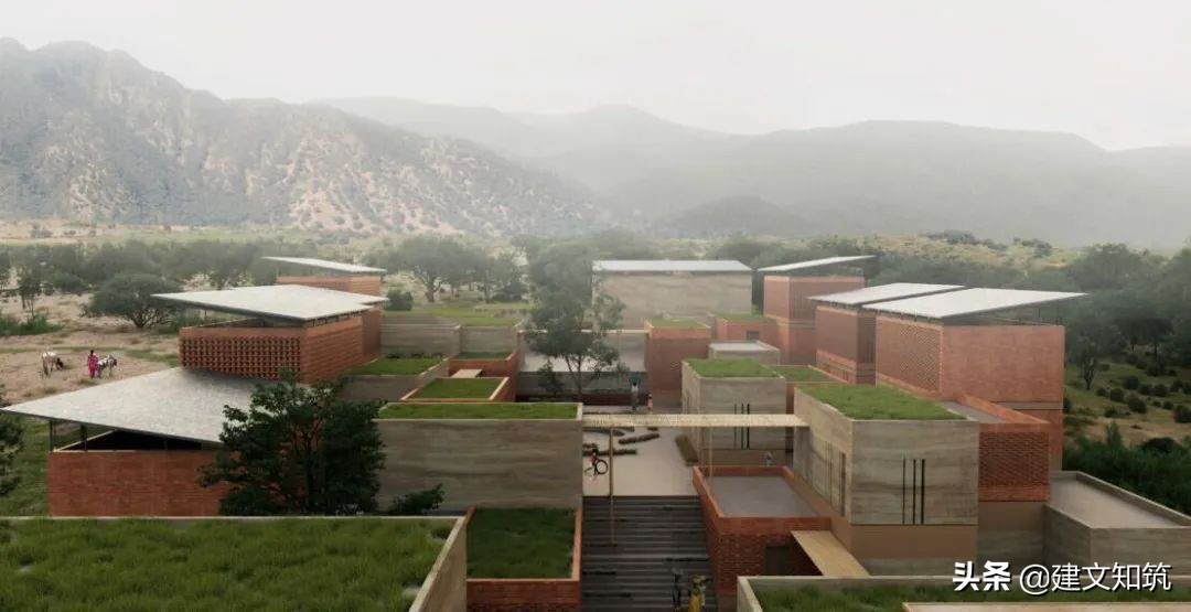 waf2023世锦赛,waf国内排名