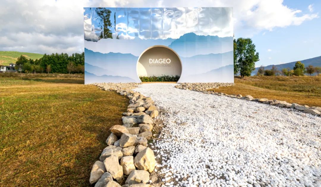 拐枣可以泡水和泡酒,拐枣与肉桂泡酒功效