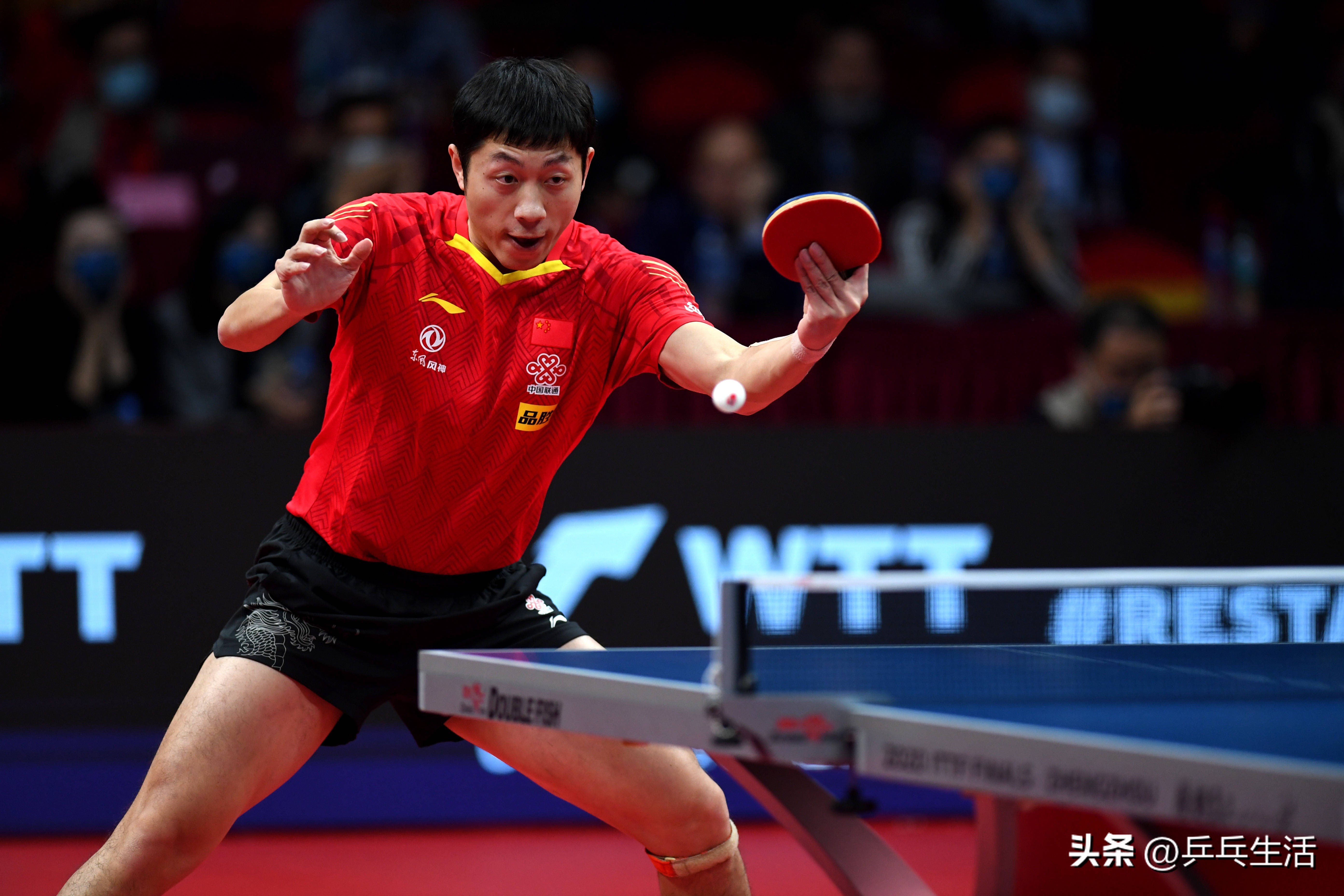 骄猛踏舞2和金v对比评测,骄猛踏舞和k2对比