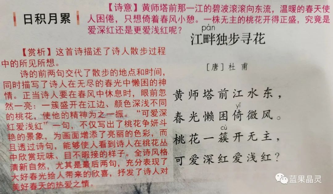 四下语文:第2单元课本内容(复习+练习)