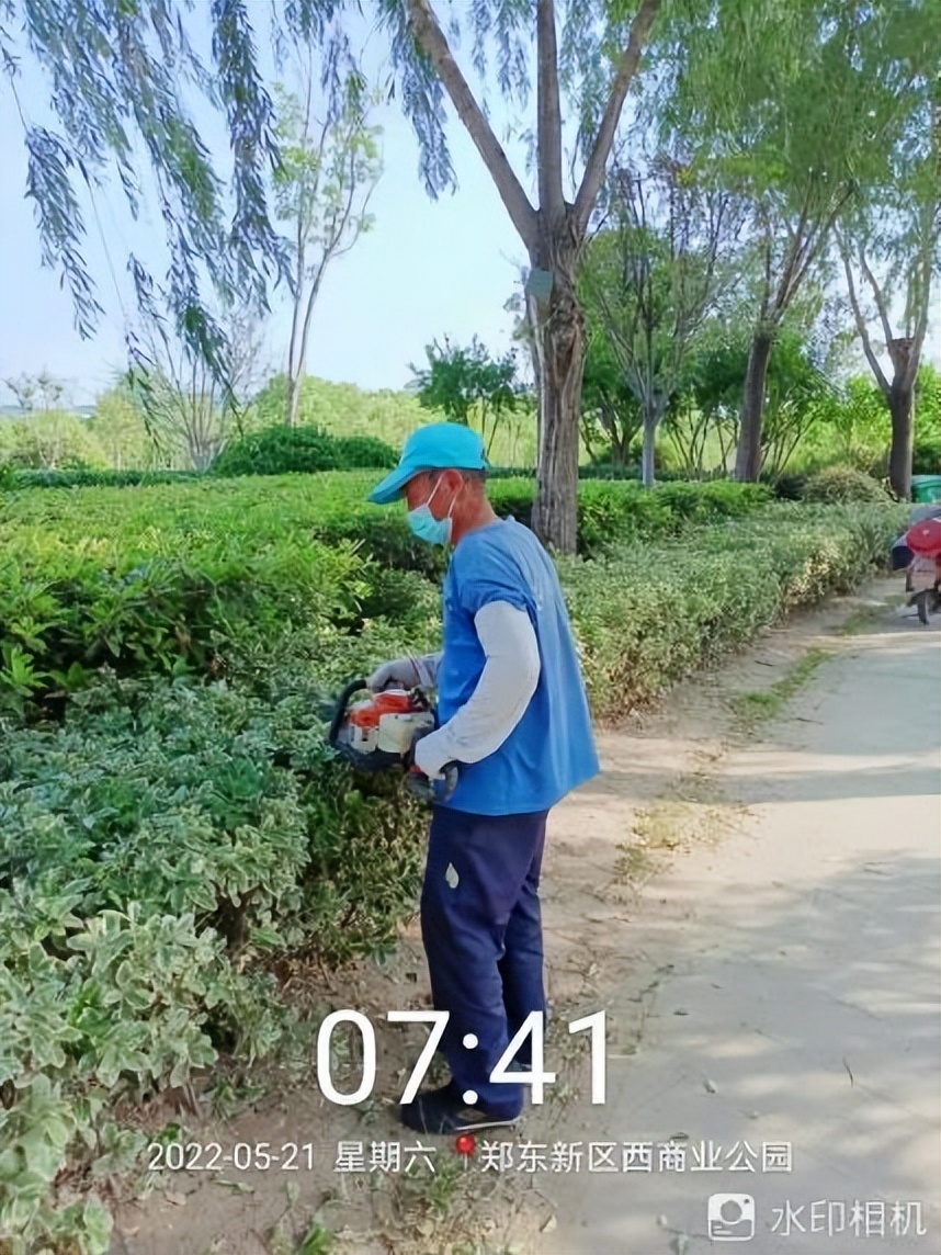 12月份园林绿化养护工作重点,元月份园林养护重点工作