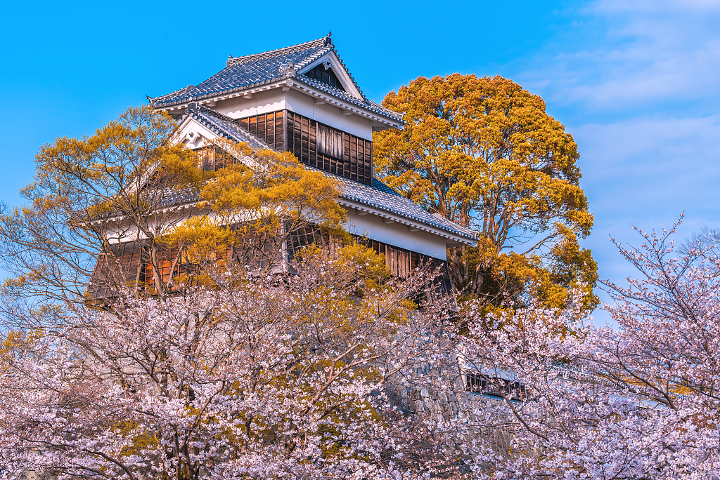 铃芽之旅第一个门的取景地,日本动画铃芽之旅
