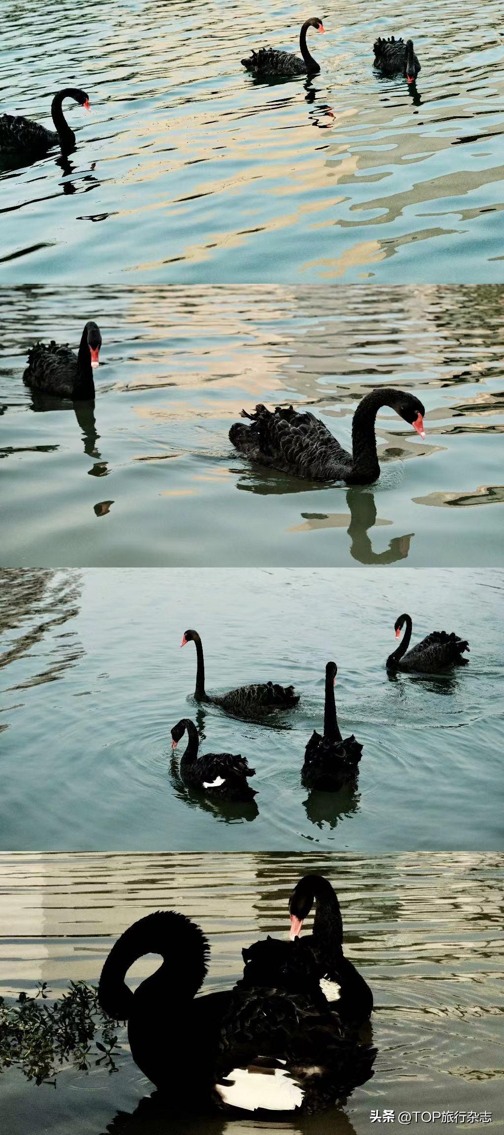 长沙秋景漂亮的地方,长沙周边秋景