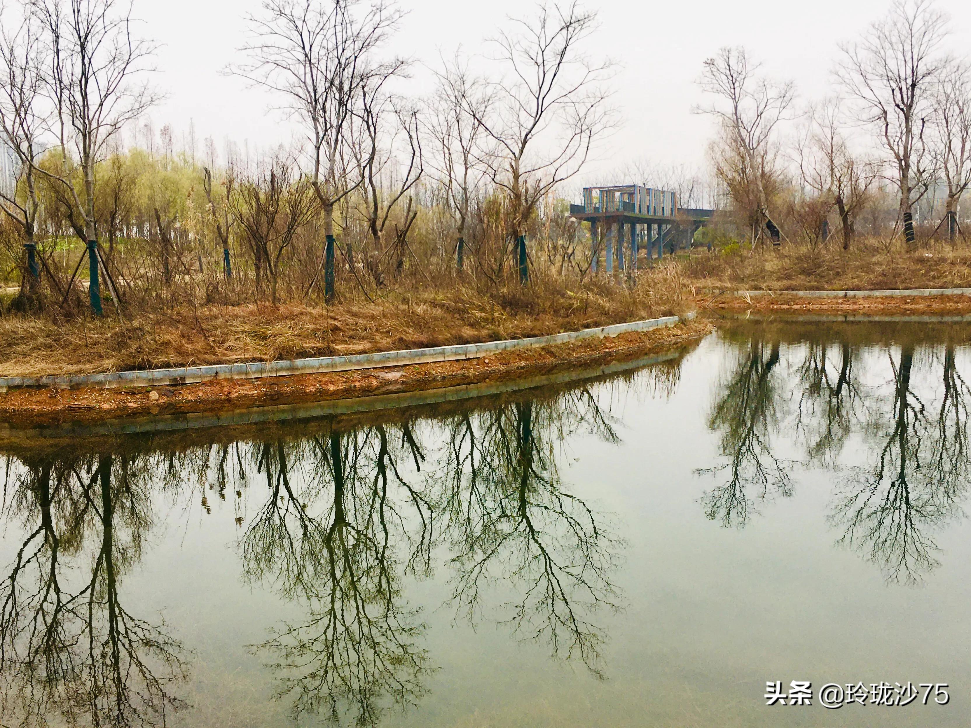 长沙风景美丽的篮球场,长沙王陵公园生态足球场