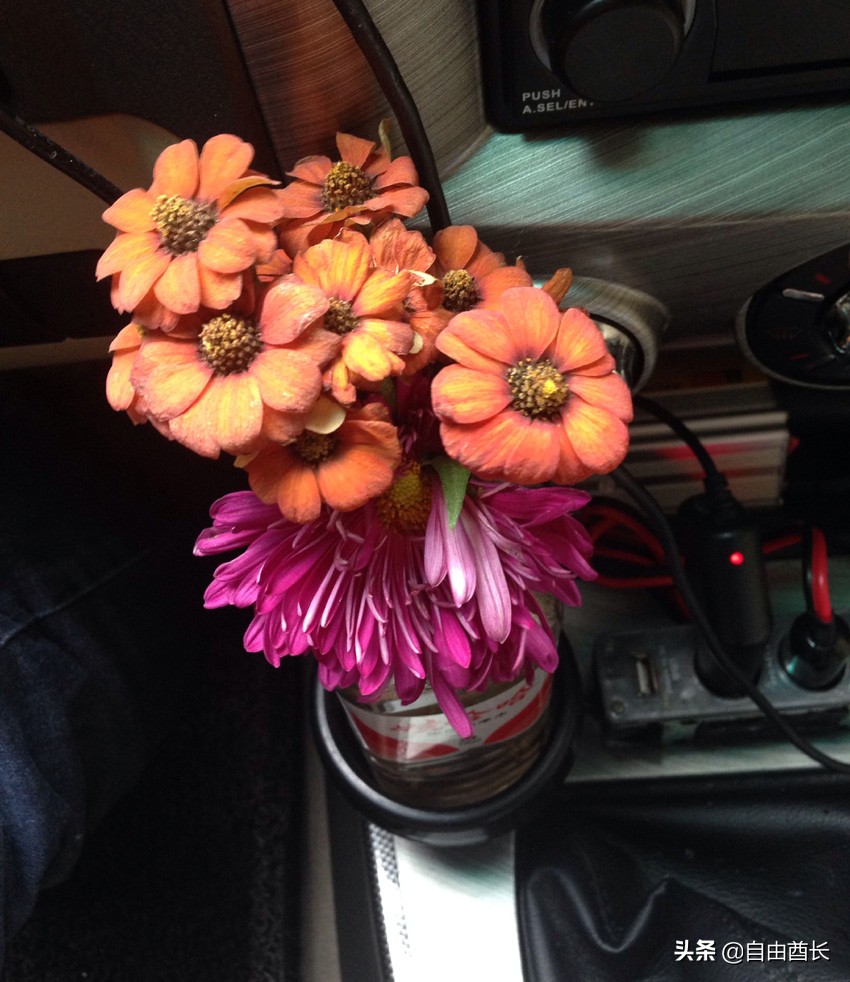 远去的驮铃声（十）抚仙湖畔的约定