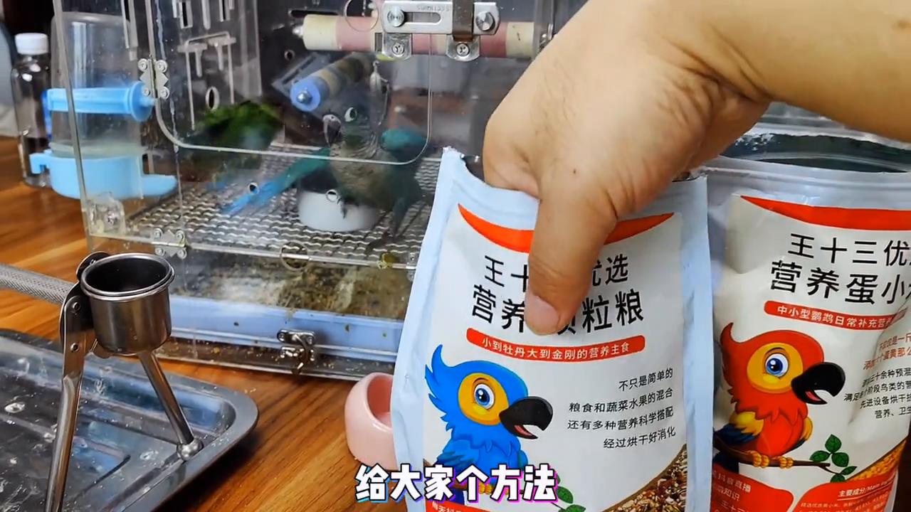 鹦鹉颗粒粮是什么粮啊,如何让鹦鹉吃颗粒粮