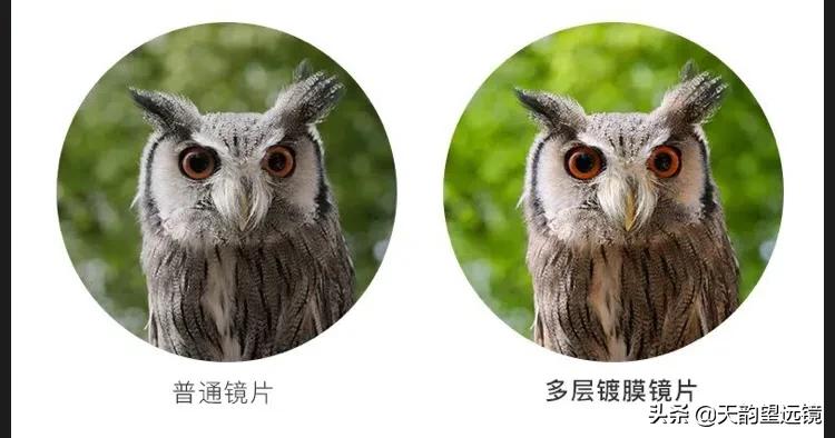 ed望远镜和充氮望远镜的清晰度,怎样正确使用望远镜