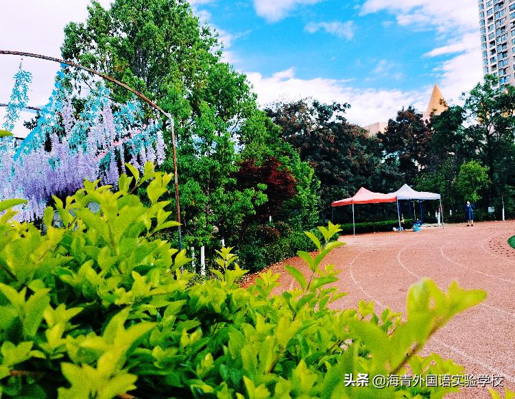 乐数学之趣味展思维之魅力——海青第二届“海数杯”素养大赛启动