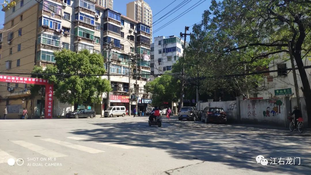 一枝一叶总关情原文,一枝一叶总关情全诗朗诵