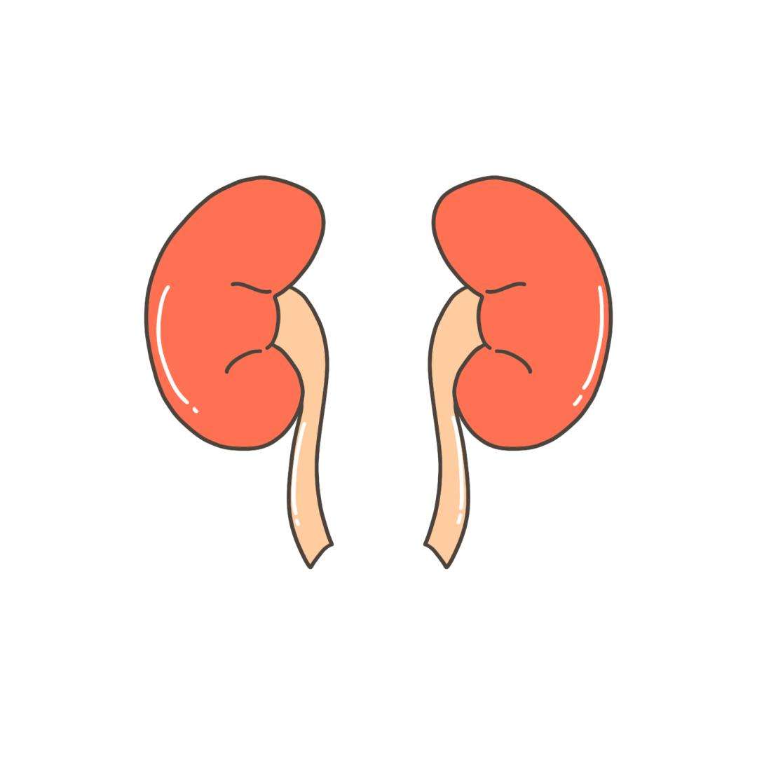 腰肾阳虚双补的千年古方,专治腰痛的老古方汤剂