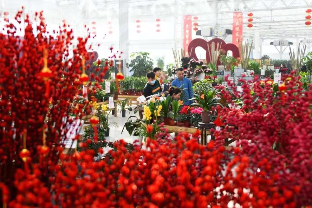 兰州新区十周年献礼|文商旅感恩钜惠，福利来袭！优惠加磅！