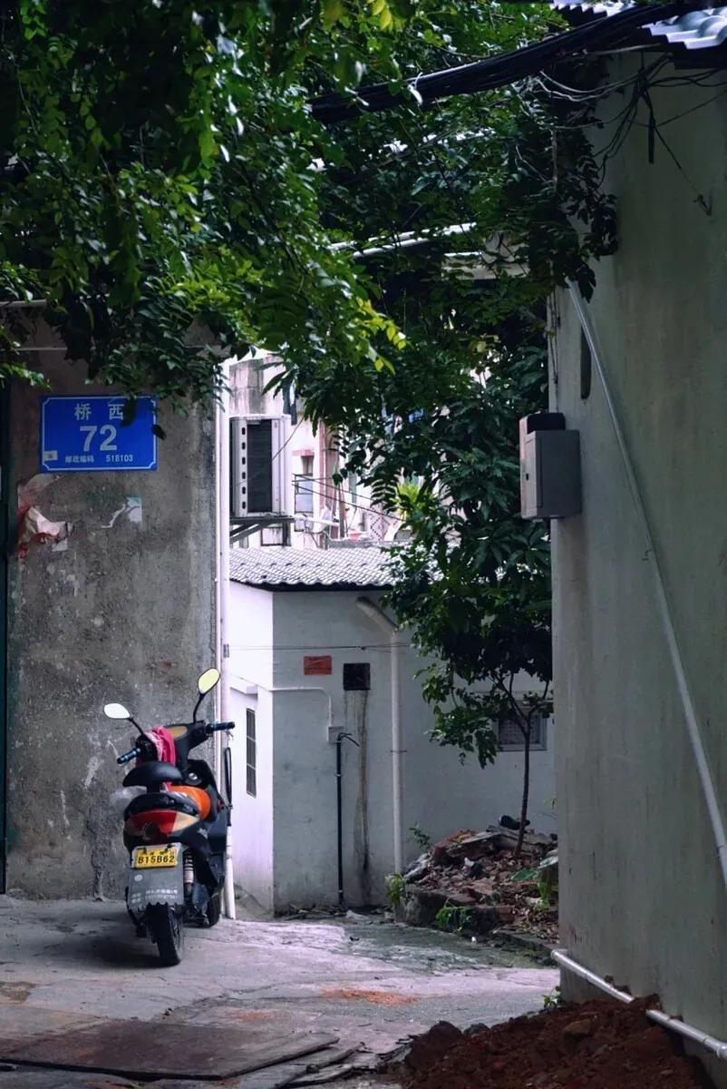 我的动物朋友小学四年级下200字,小学下大雨