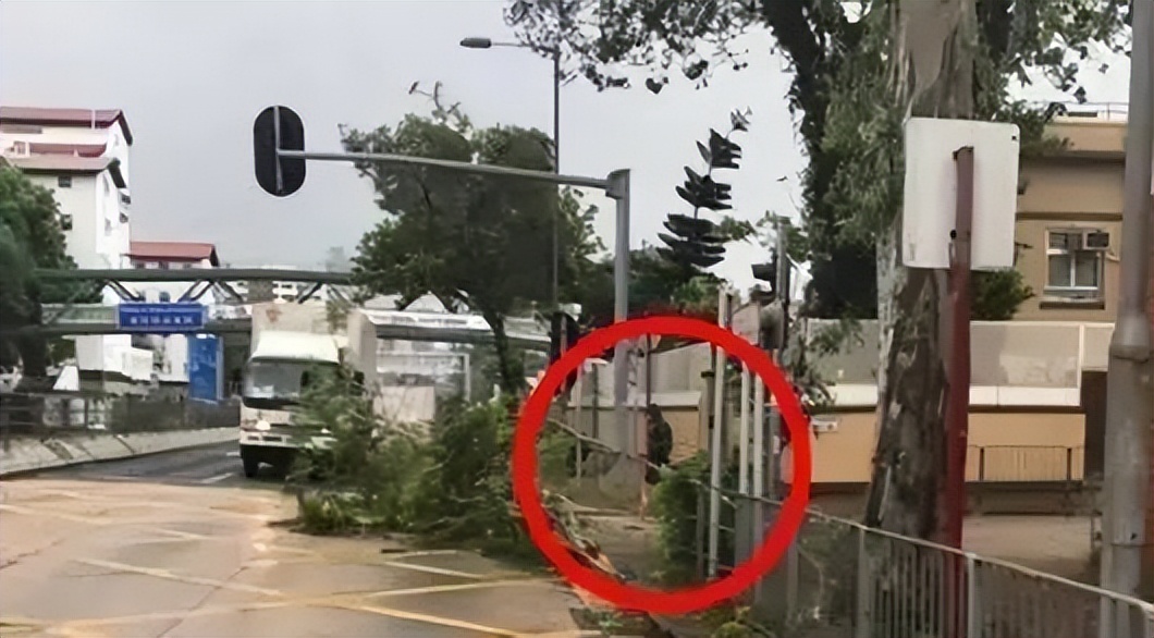 港币香港能用吗,港币港元