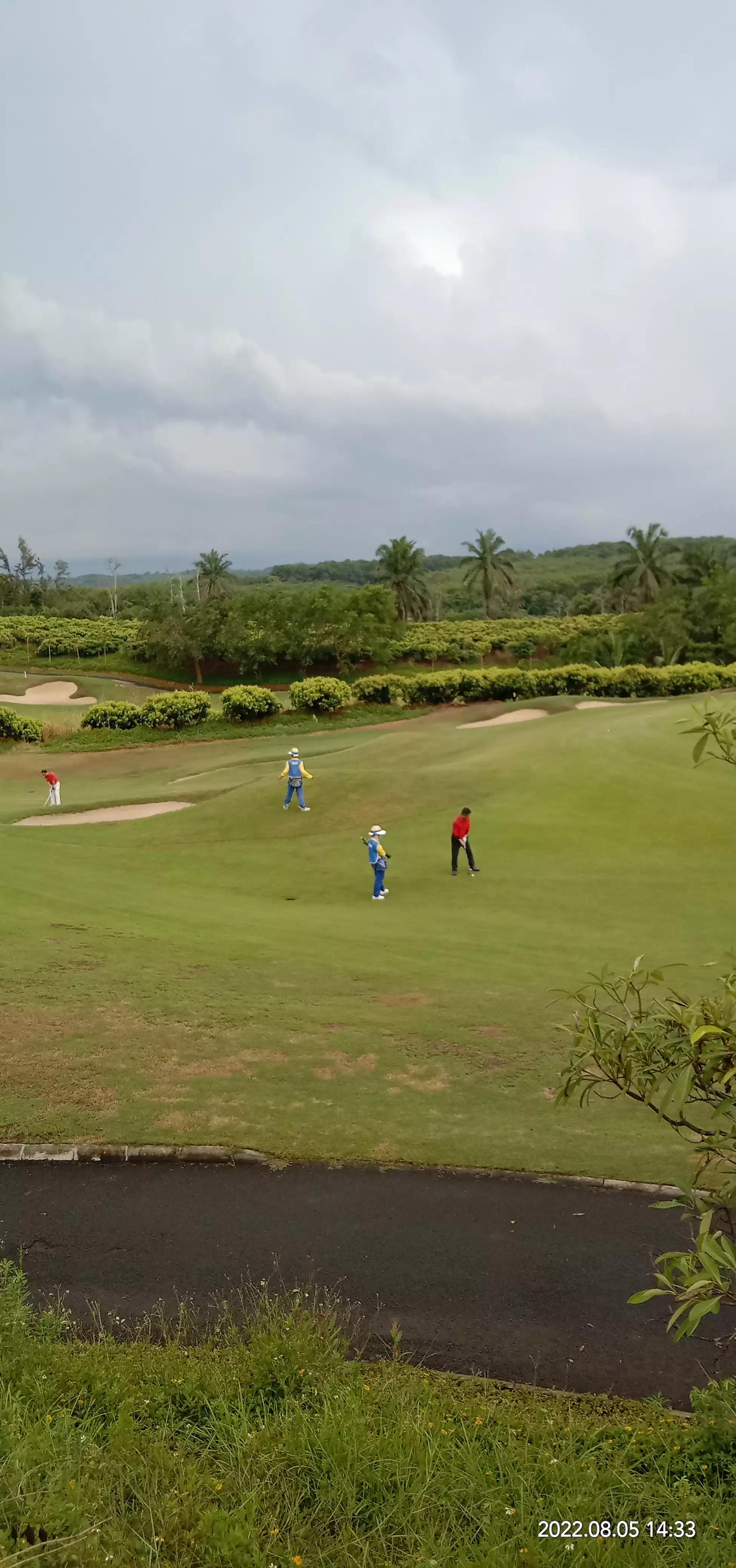 高尔夫球教学,高尔夫球车