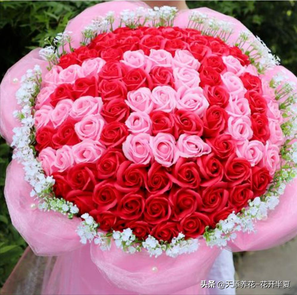 18朵粉色玫瑰花代表什么含义,5朵玫瑰花的寓意和花语是什么