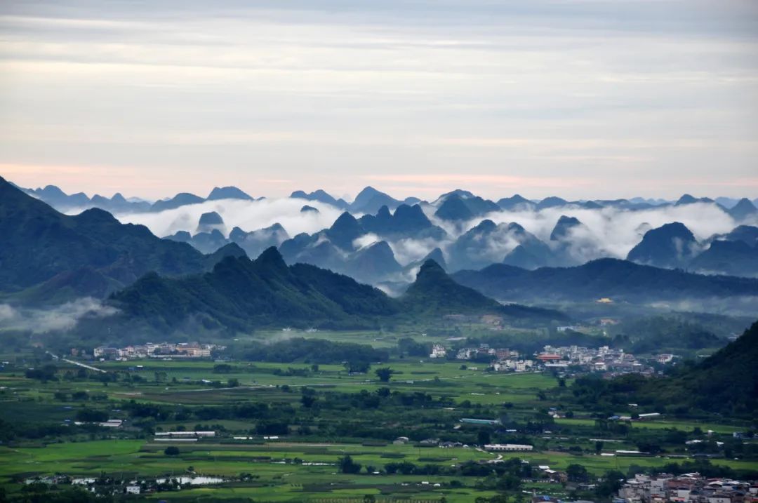猫咪走太空步原视频最火,猫咪壁虎漫步视频