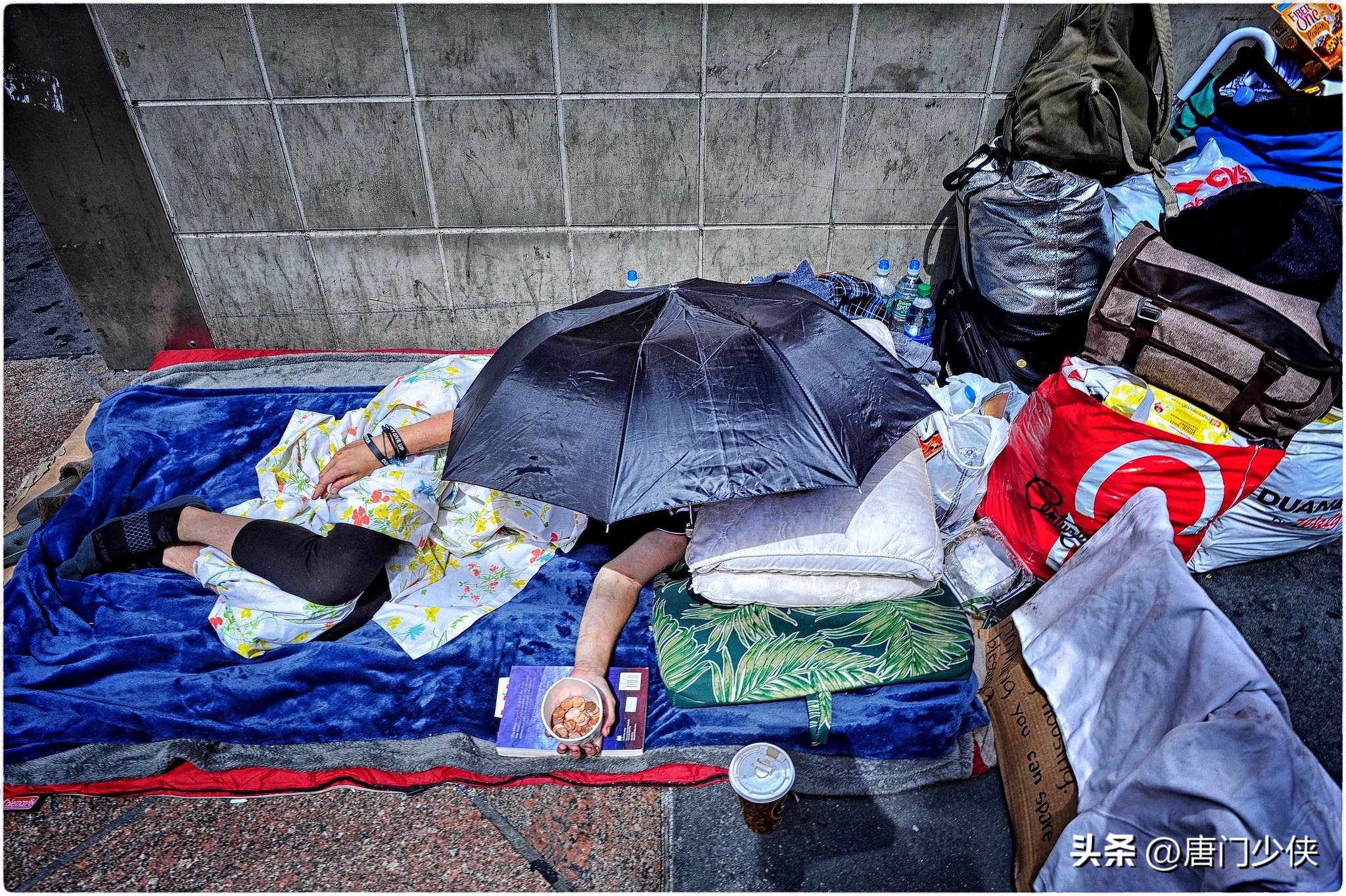 公知小作文是什么,公知小作文