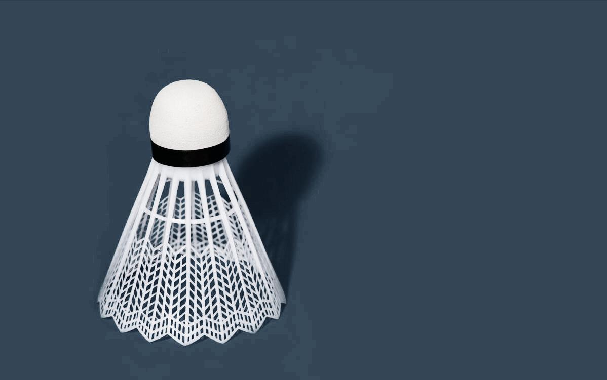 走进羽毛球,走进羽毛球运动