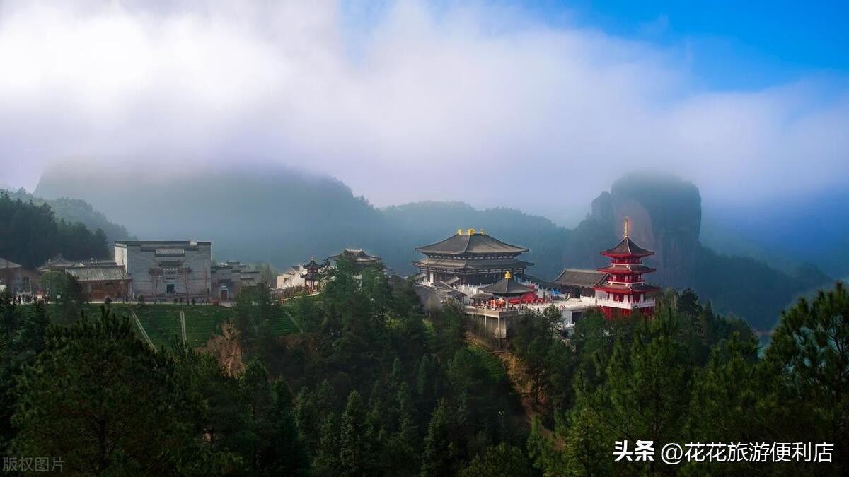 中国杨梅之乡浙江丈亭,中国杨梅之乡三洲