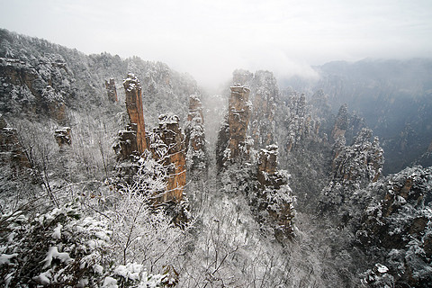 飞雪迎春山花烂漫,飞雪迎春绽玉蕊