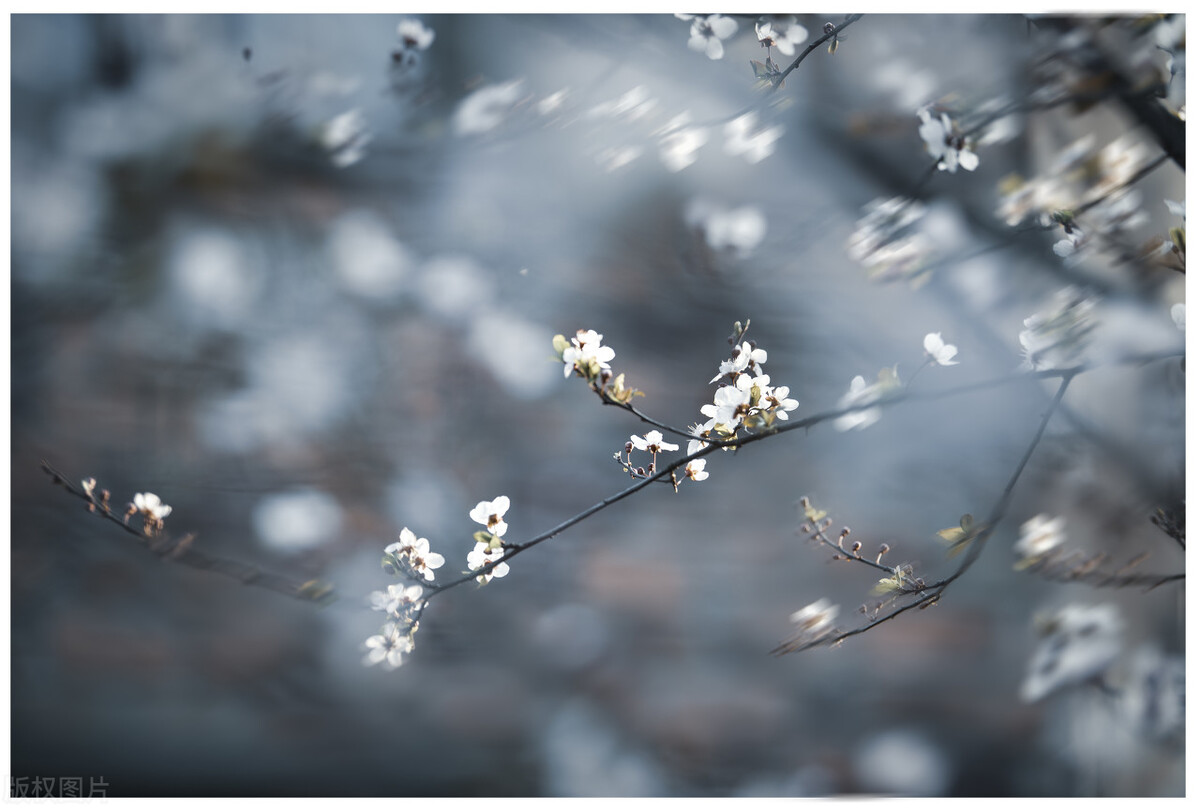 退休后想找一个打发时间的工作,退休后简单生活余生才能淡然从容