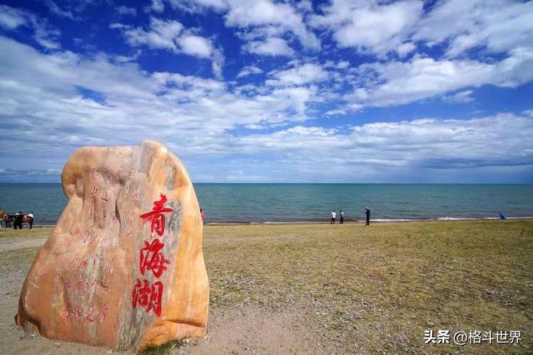 一龙拳王争霸赛决赛,西宁五岳拳王争霸赛