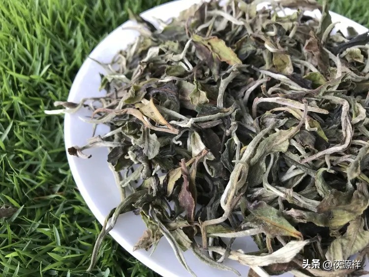 六大茶类及各茶种代表茶,六大茶冲泡技巧