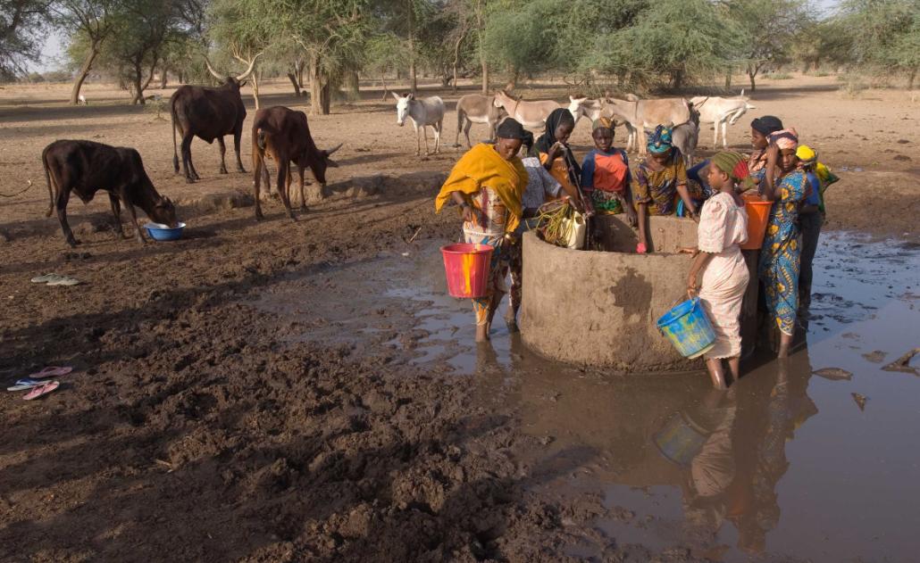 瑙鲁真的曾经很富有吗 (最有钱的瑙鲁是怎么破产的)