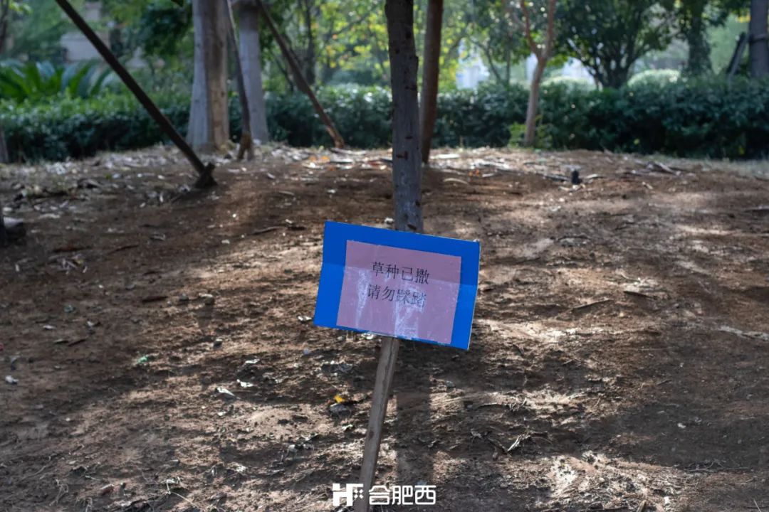 西二环房价洼地,房价从1000涨到10万谁最受益