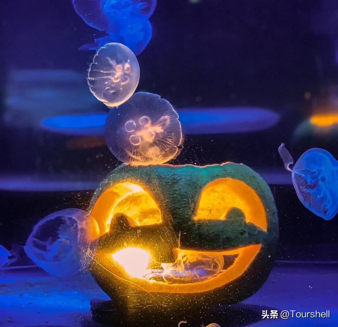 世界上最美的五十个城市之三十四🇦🇺悉尼