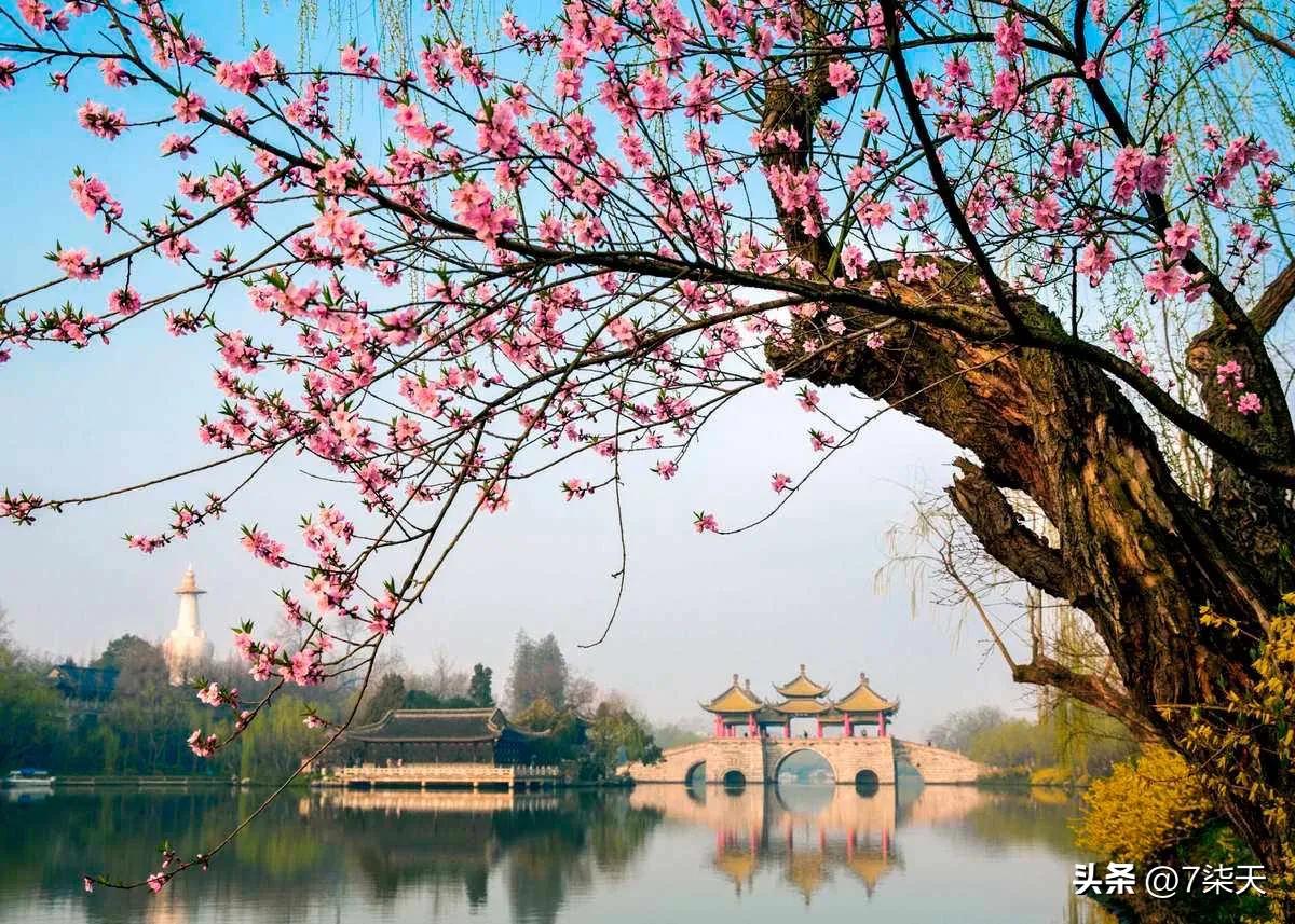 古诗打卡黄鹤楼送孟浩然之广陵,古诗跟读黄鹤楼送孟浩然之广陵