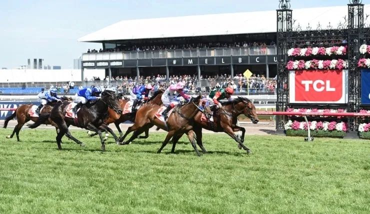 鍘熸潵鐨勮寘鍙伴厭,涓変竴閲嶅伐鑼呭彴