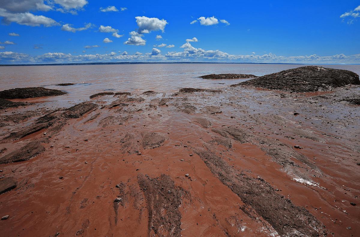 什么面膜清洁毛孔黑头效果好,清洁面膜有用吗真的能清洁毛孔吗