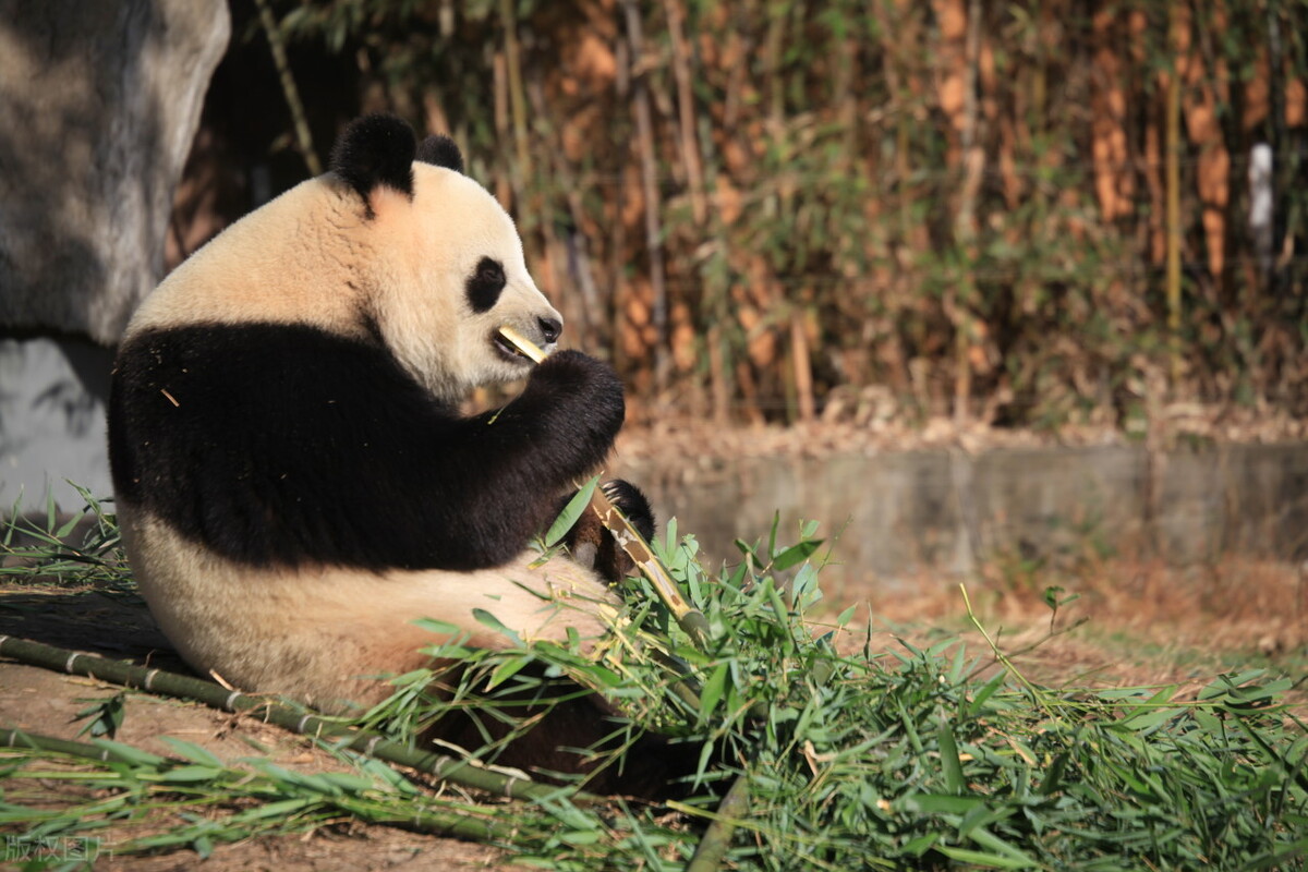 探索宁波的美丽风景,宁波探索指南