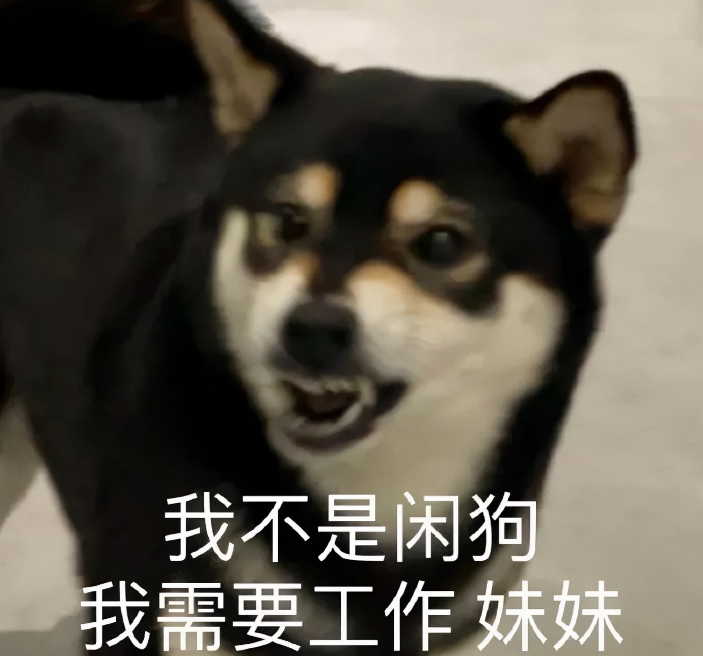 上海学生一身衣服价值127万,上海一学生穿100万衣服真的假的