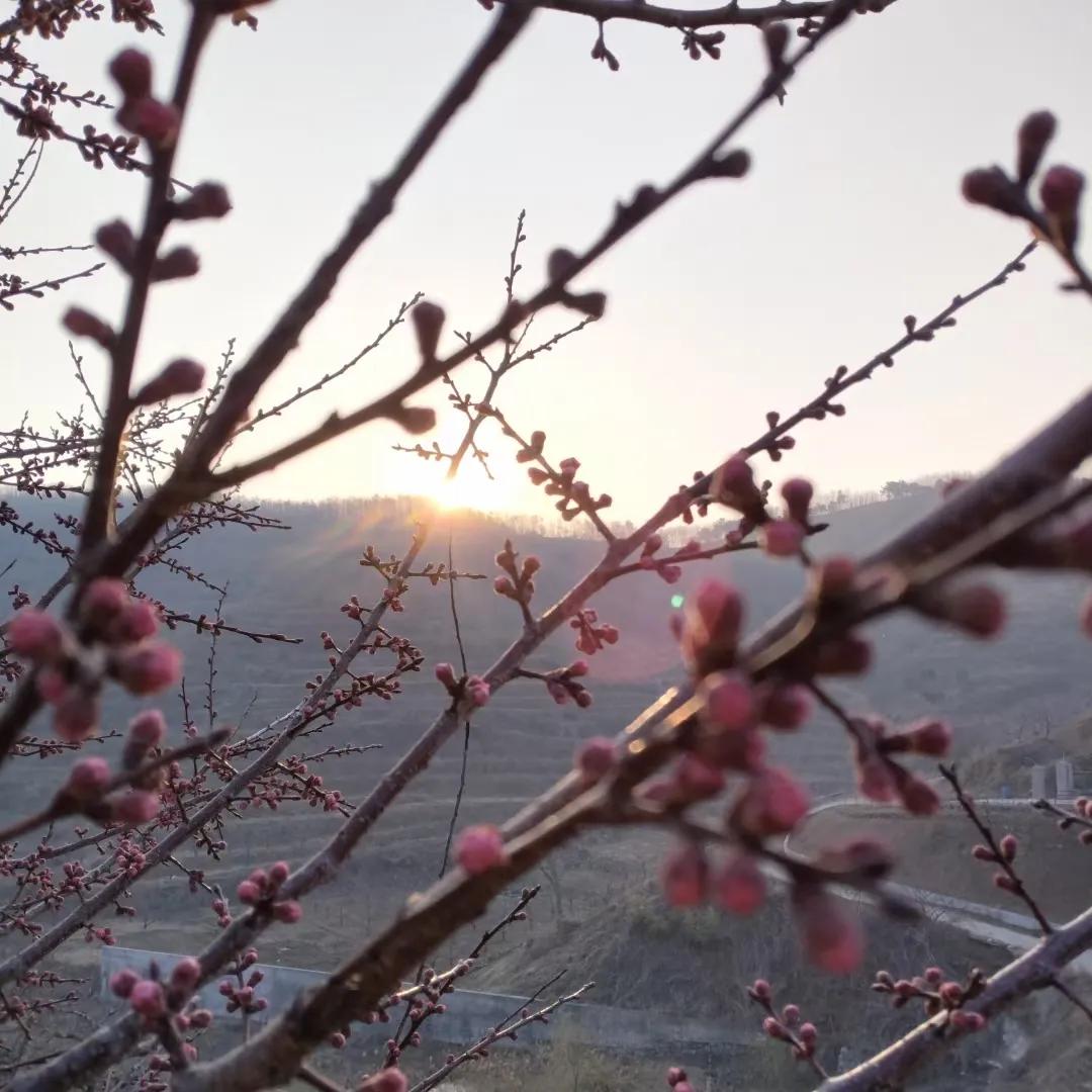 该怎样走出负债困境？