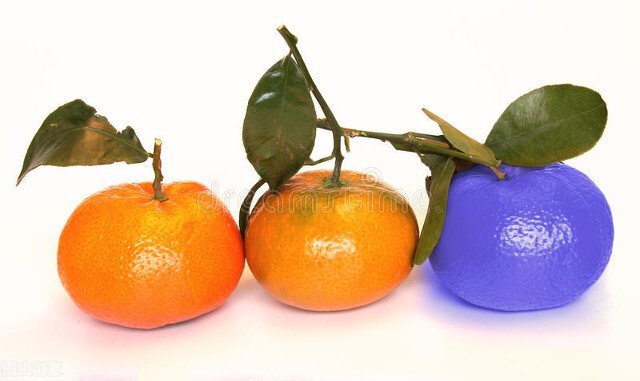 偏执固执害人命,偏执的愚昧