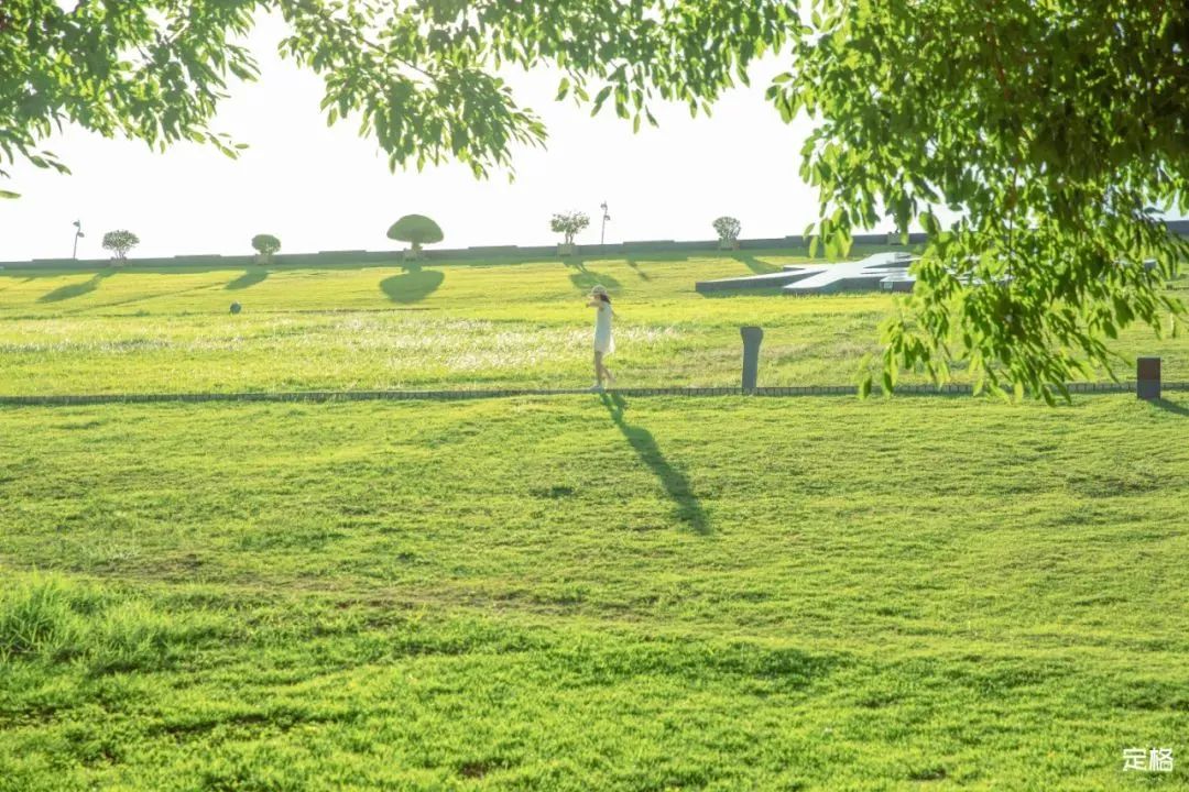 深圳一日游必去的地方,深圳吃货必去的地方