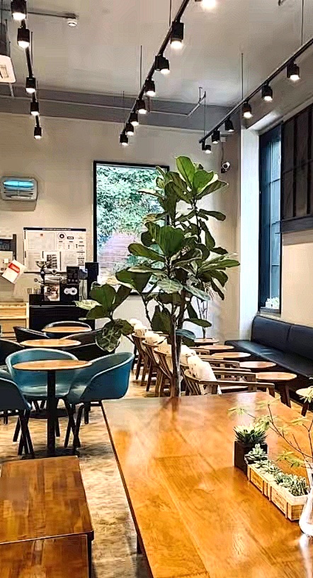 北京面包店排名前十名,北京十大网红面包店最全攻略