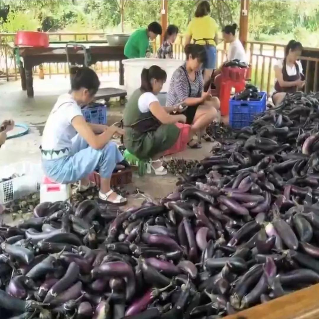 湖南女子投资180万开农庄日入2位数,如今靠柴火鸡年销售额1000万