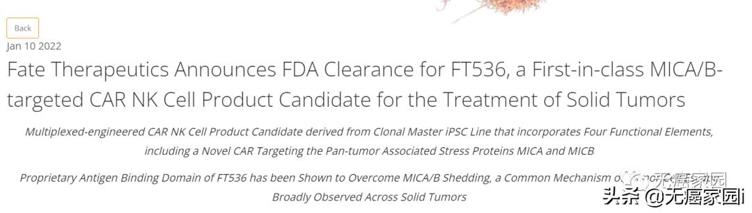 肝癌nk细胞免疫治疗,nk细胞治疗肿瘤最好的专家