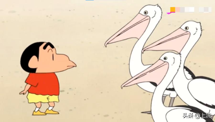 男孩景区遭鹈鹕灌顶,男孩被醍醐灌顶在什么景区