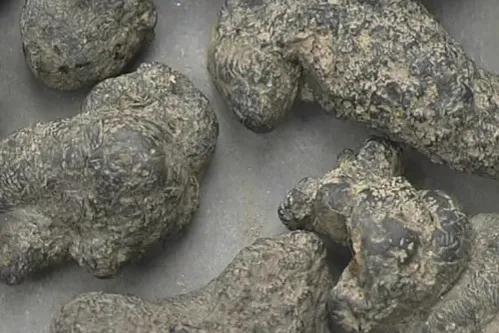 2022.11.10药材行情