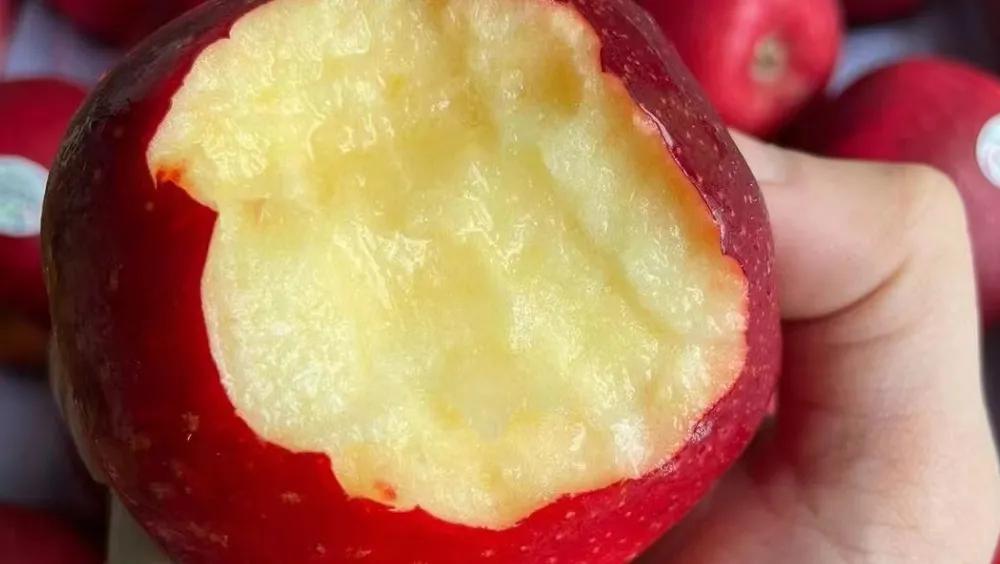 水果店利润有多大能赚钱吗,水果店的利润在多少纯利润多少