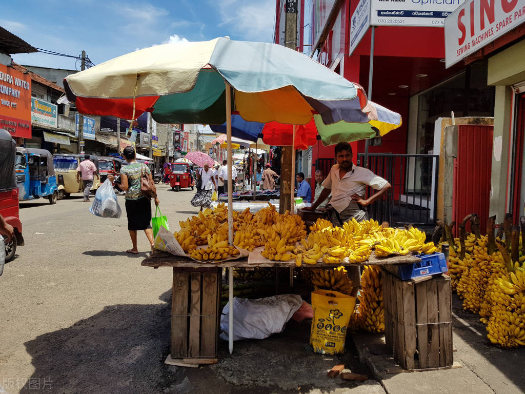 今天缅甸香蕉最新情况,缅甸香蕉滞销怎么解决