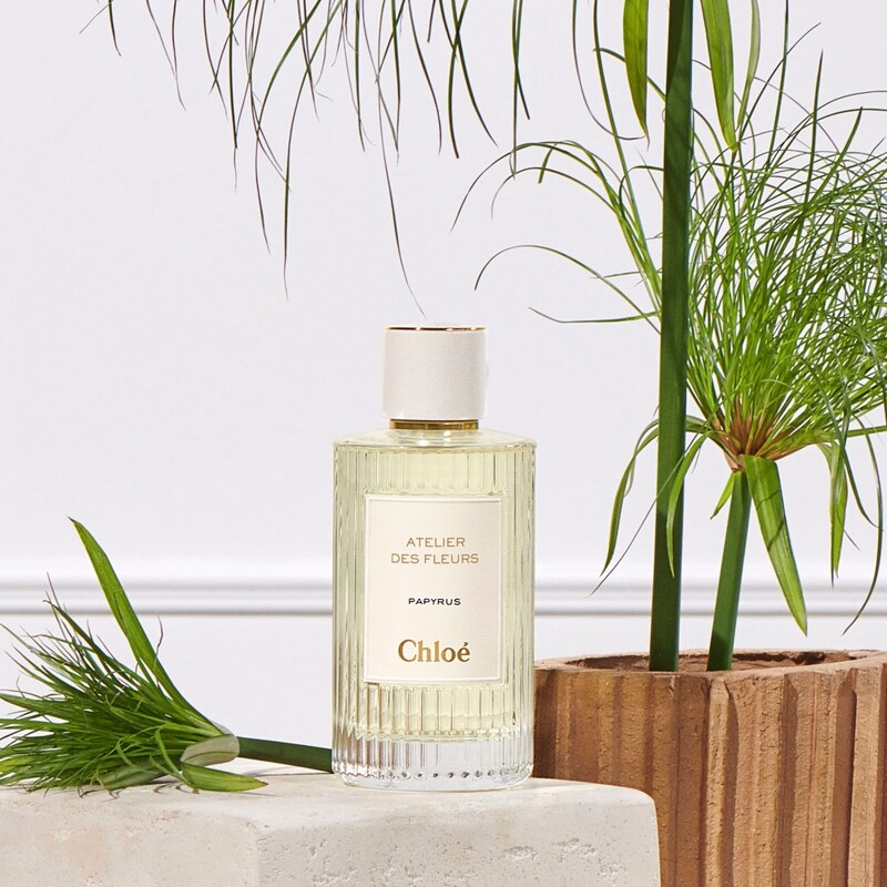 chloe花园系列香水,chloe哪款香水清新