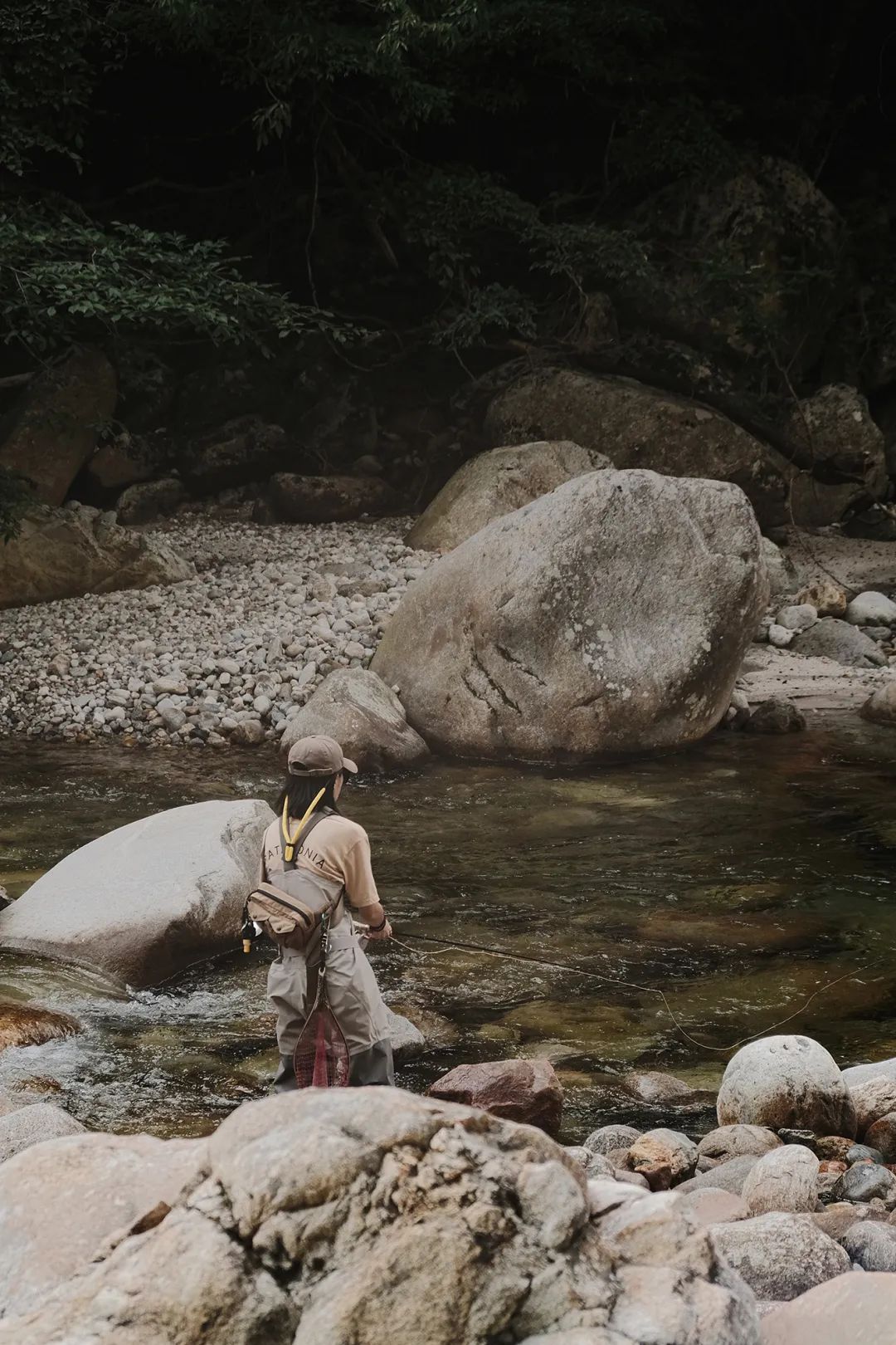 新手学钓鱼应该用什么鱼饵,想学钓鱼如何入门